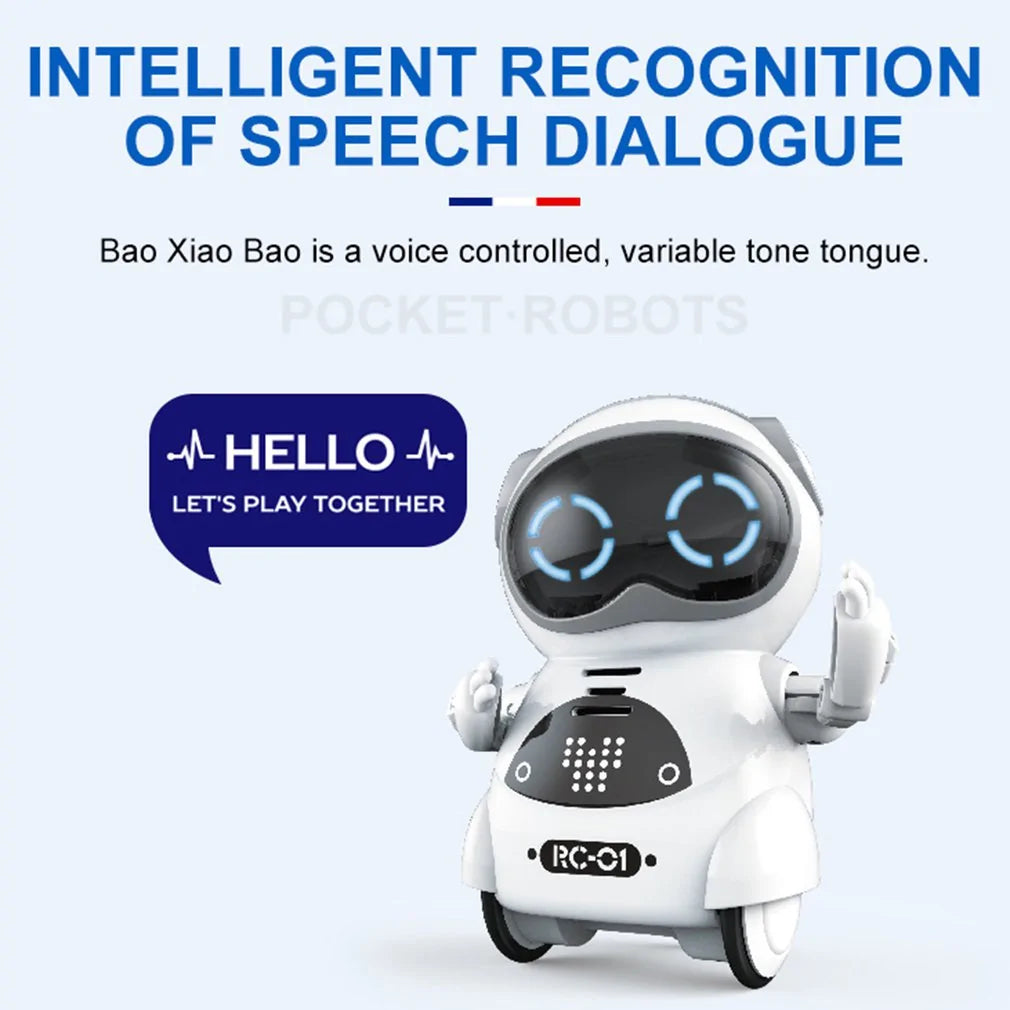 Mini Robot Talking Walking Voice Recognition