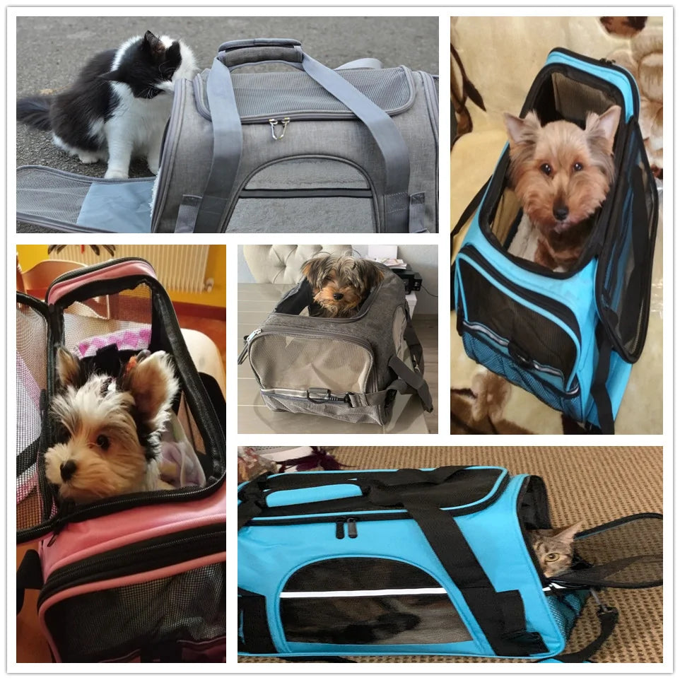 Pets Carrier Travel Bag