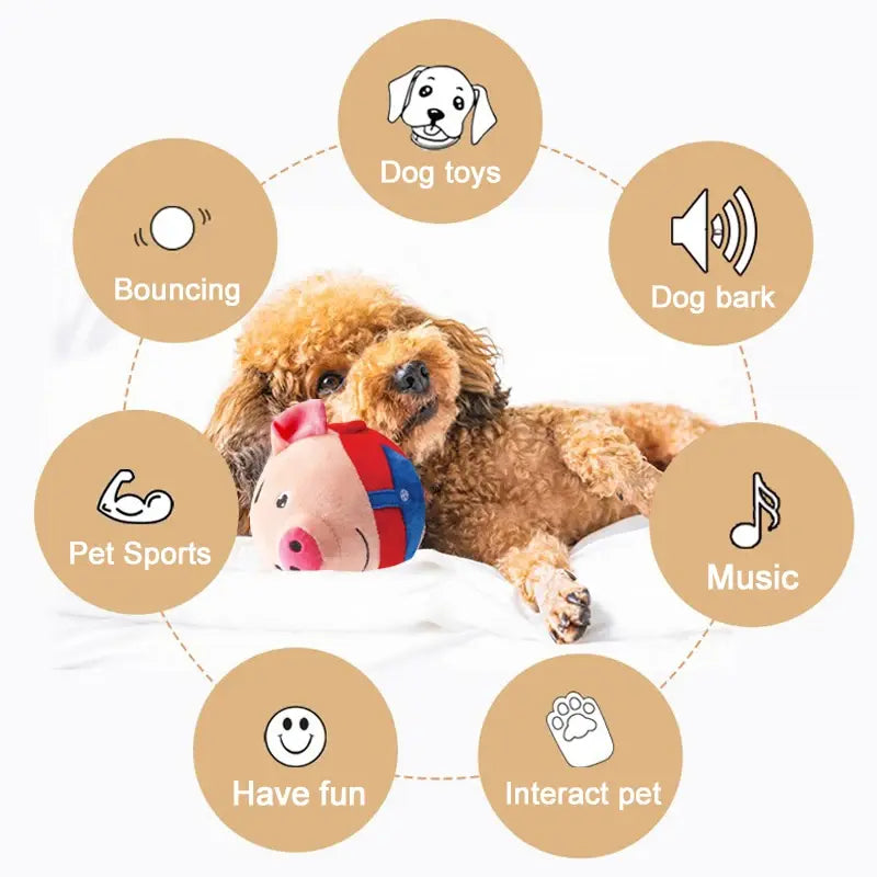 Plush Talking Ball Toys for Pets