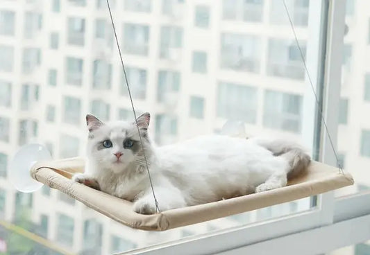 Pet Window Hammock