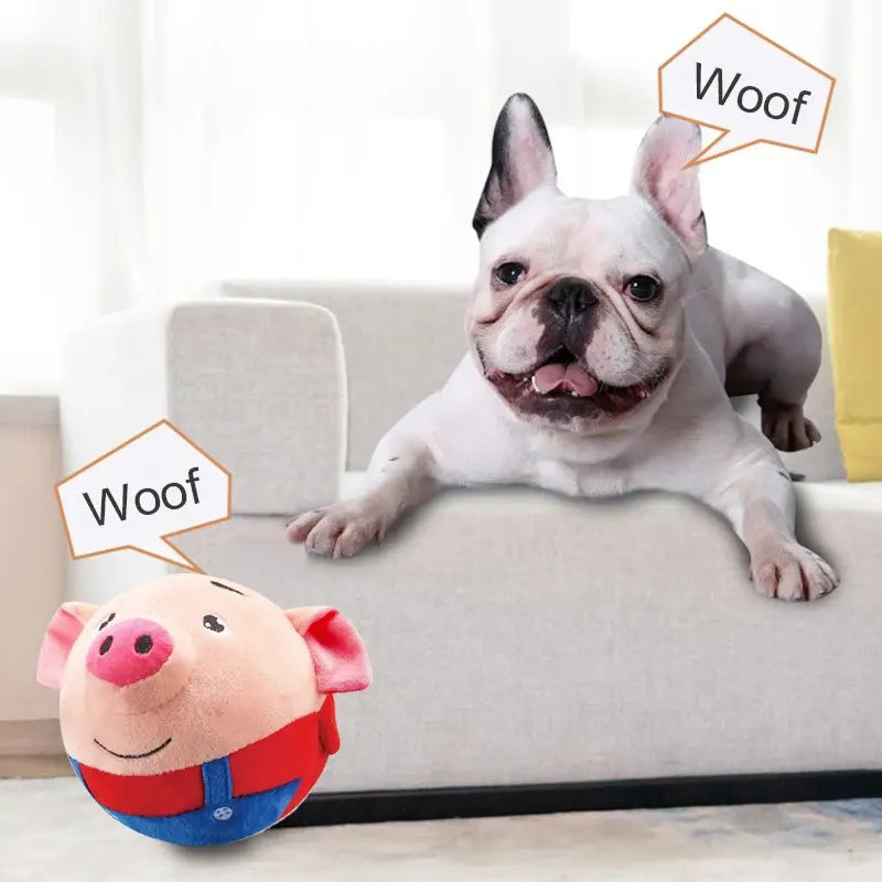 Plush Talking Ball Toys for Pets