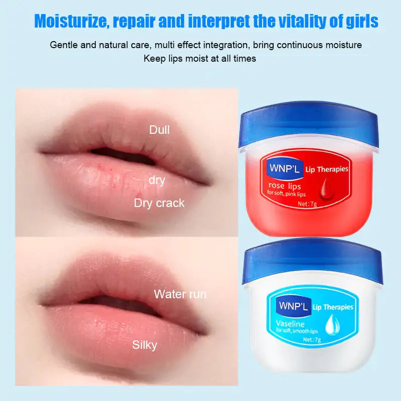 Anti-Crack Lip Care Oil Balm 6 pcs set